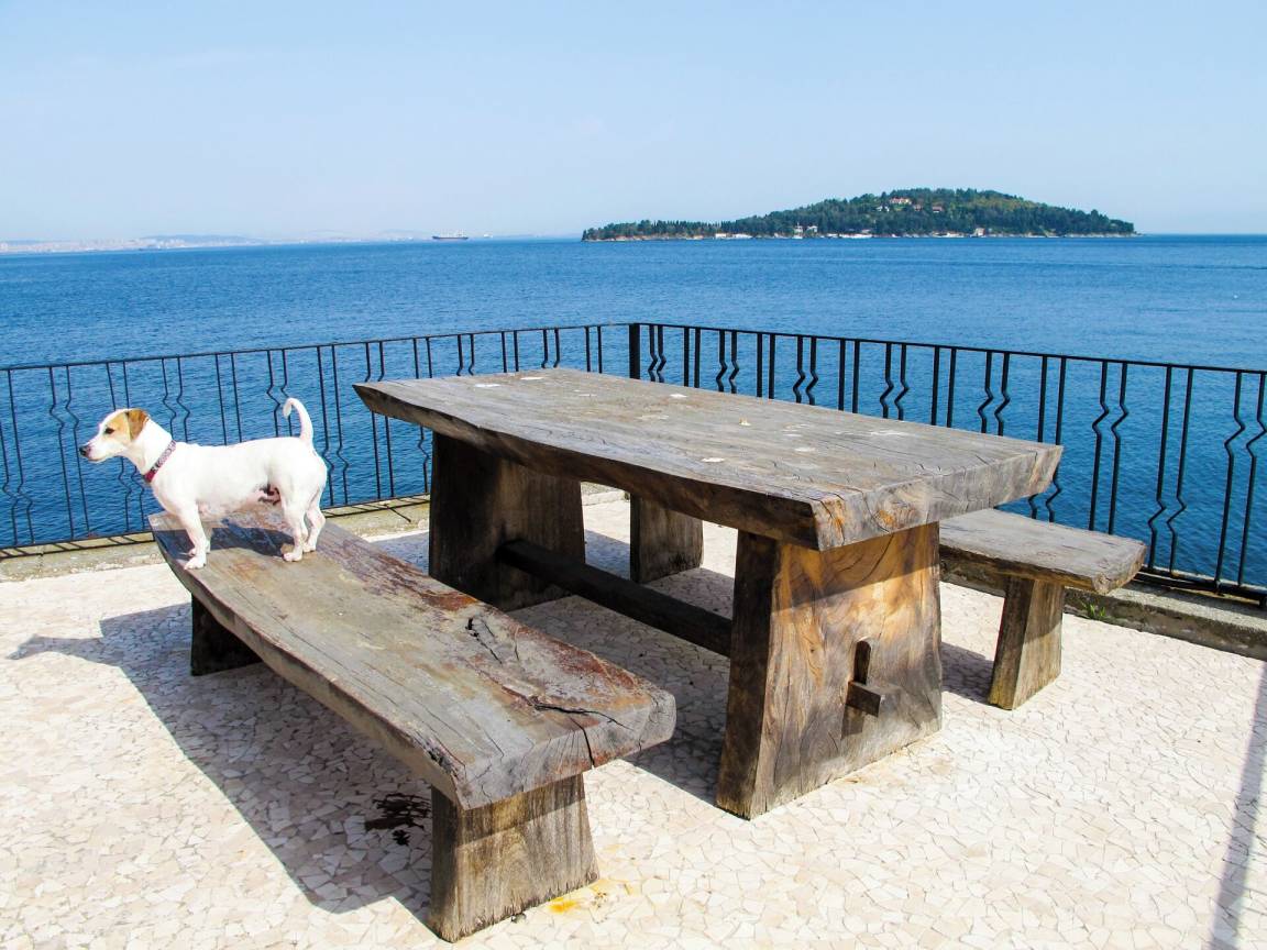 Ferienhaus mit Terrasse, Sauna und Garten 8 Gäste ∙ 3 Schlafzimmer Türkei