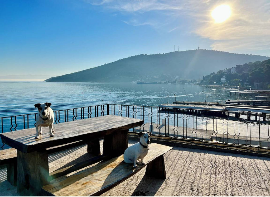 Ferienhaus mit Terrasse, Sauna und Garten 8 Gäste ∙ 3 Schlafzimmer Türkei